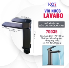 Vòi Lavabo 70035