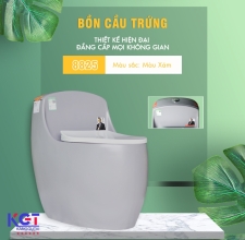 Bồn Cầu Trứng Men Sứ NANO 8825 ( Màu Xám Tro )