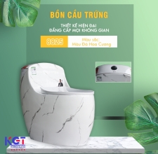 Bồn Cầu Trứng Men Sứ NANO 8825 ( Màu Đá Hoa Cương )