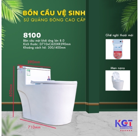 Bồn Cầu 1 Khối Men Sứ Nano Cao Cấp Chống Bám 8100