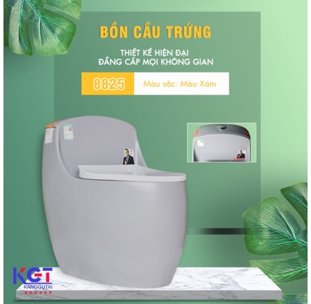 Bồn Cầu Trứng Men Sứ NANO 8825 ( Màu Xám Tro )
